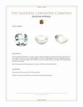 3.13 Ct. Greenish Blue Aquamarine from Ceylon (Sri Lanka) Appraisal