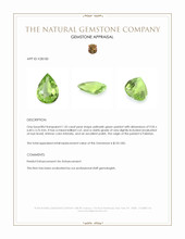 1.35 Ct. Yellowish Green Peridot from Pakistan Appraisal