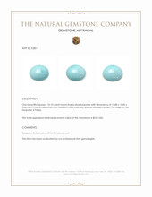 10.10 Ct. Cabochon Turquoise from Persia Appraisal