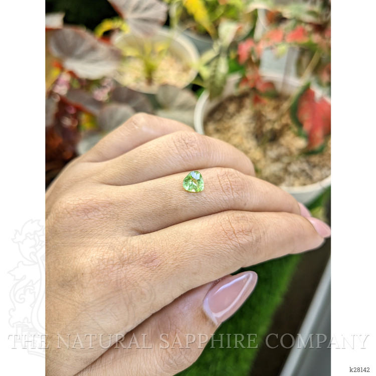 1.13 Ct. Yellowish Green Peridot from Pakistan