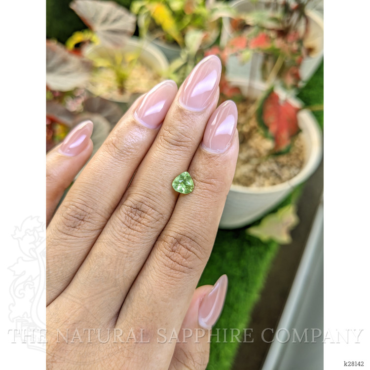 1.13 Ct. Yellowish Green Peridot from Pakistan