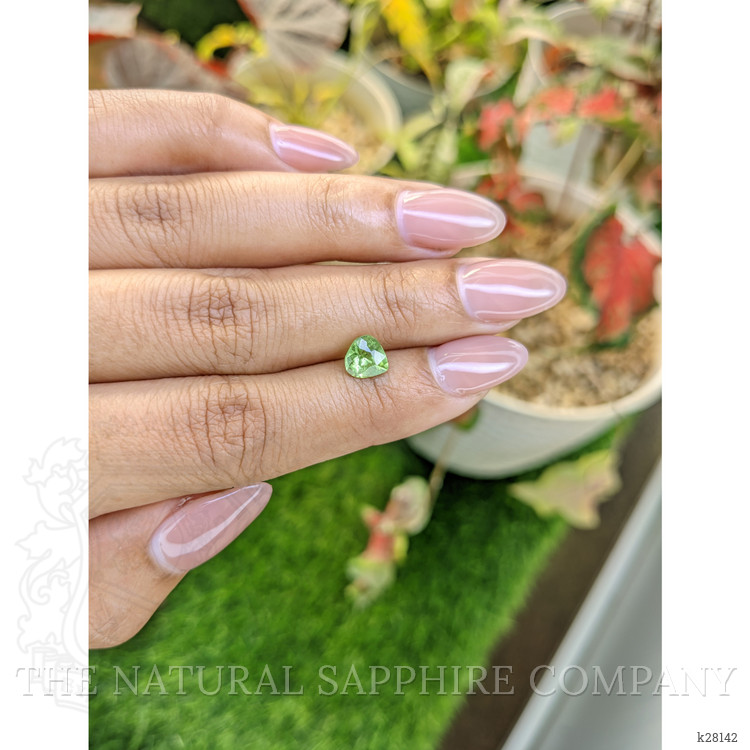 1.13 Ct. Yellowish Green Peridot from Pakistan