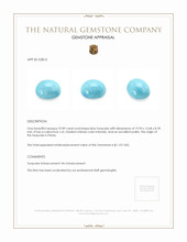 37.89 Ct. Cabochon Turquoise from Persia Appraisal