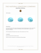 37.89 Ct. Blue Cabochon Turquoise from Persia(Iran) Appraisal