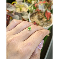 0.80 Ct. Yellowish Green Peridot from Pakistan Life Style
