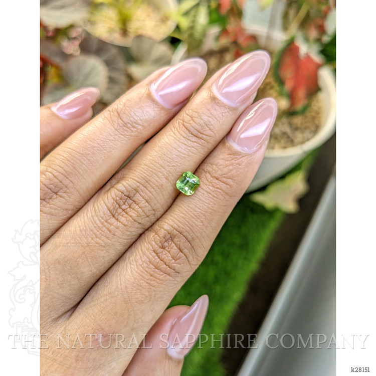 0.76 Ct. Yellowish Green Peridot from Pakistan