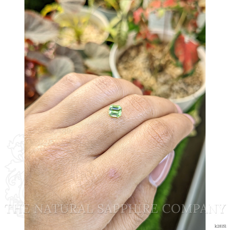 0.76 Ct. Yellowish Green Peridot from Pakistan