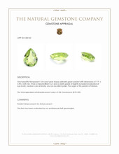 1.04 Ct. Yellowish Green Peridot from Pakistan Appraisal