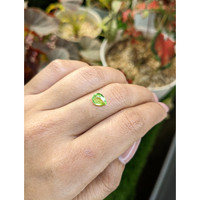 1.04 Ct. Yellowish Green Peridot from Pakistan Life Style
