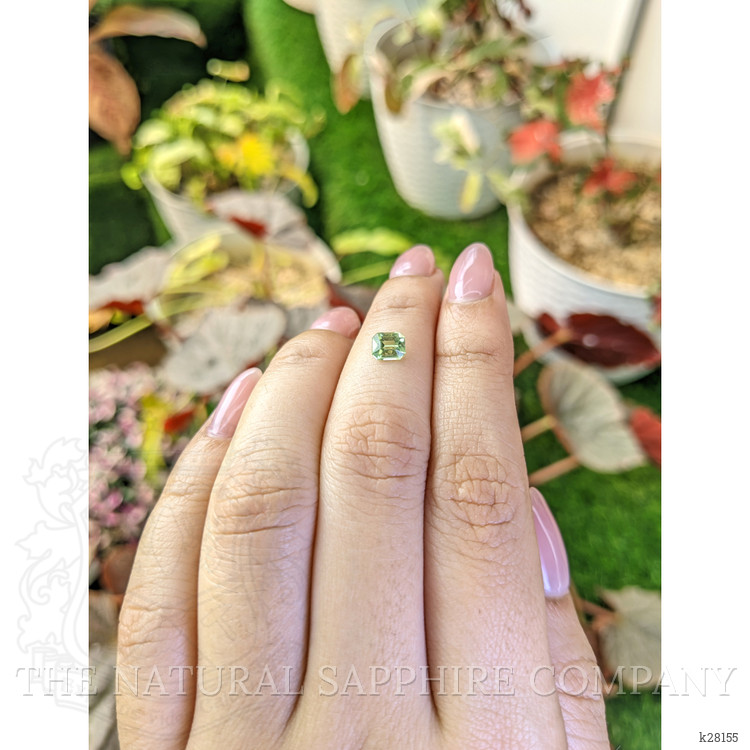 0.53 Ct. Yellowish Green Peridot from Pakistan