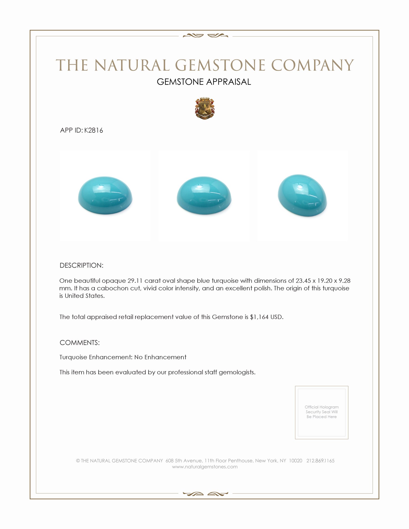 29.11 Ct. Cabochon Turquoise from United States