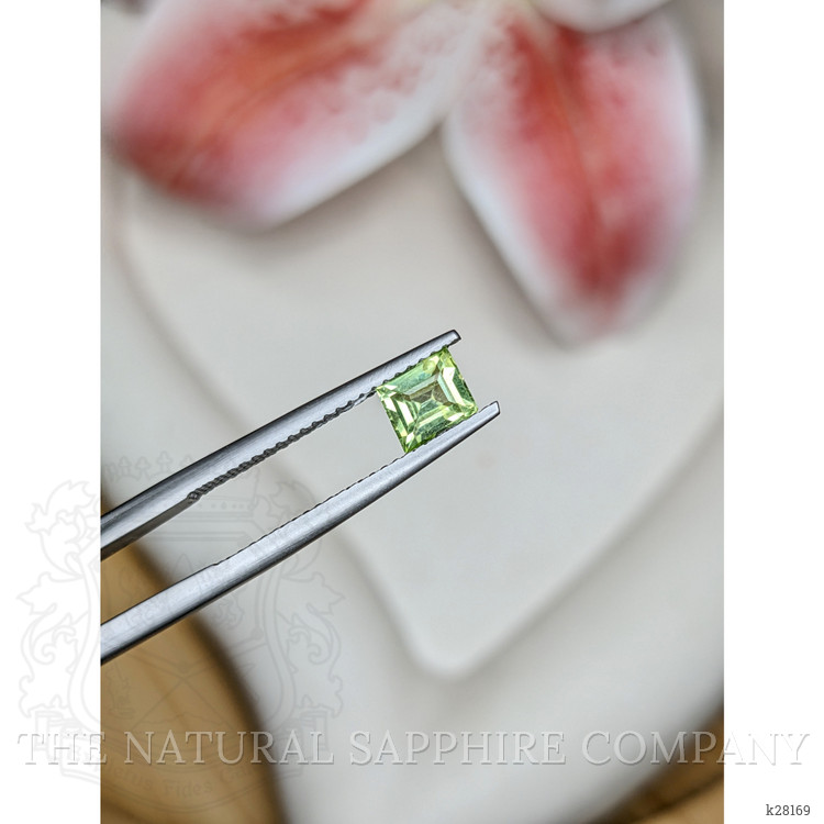 0.56 Ct. Green (Lime Green) Peridot from Pakistan