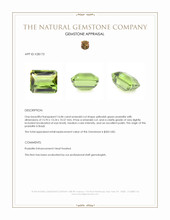 16.84 Ct. Yellowish Green Prasiolite from Brazil Appraisal