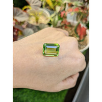 15.42 Ct. Yellowish Green Prasiolite from Madagascar Life Style