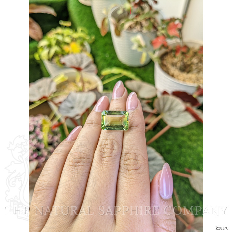 10.17 Ct. Yellowish Green Prasiolite from Brazil