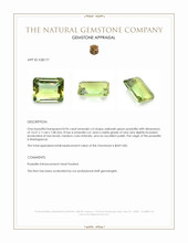 8.96 Ct. Yellowish Green Prasiolite from Madagascar Appraisal