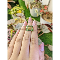 8.96 Ct. Yellowish Green Prasiolite from Madagascar Life Style