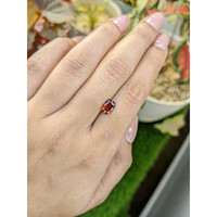 1.52 Ct. Orangish Red Garnet from Ceylon (Sri Lanka) Life Style