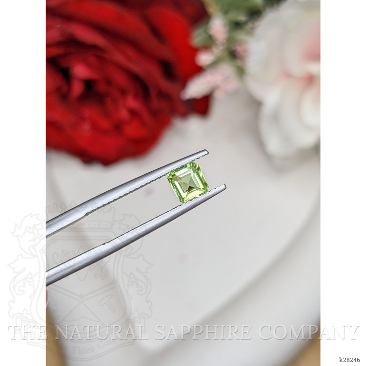 0.65 Ct. Green (Lime Green) Peridot from Pakistan