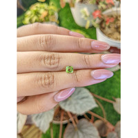0.65 Ct. Green (Lime Green) Peridot from Pakistan Life Style