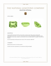 0.88 Ct. Green (Lime Green) Peridot from Pakistan Appraisal