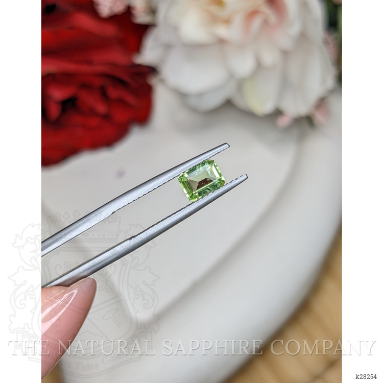 0.76 Ct. Green (Lime Green) Peridot from Pakistan
