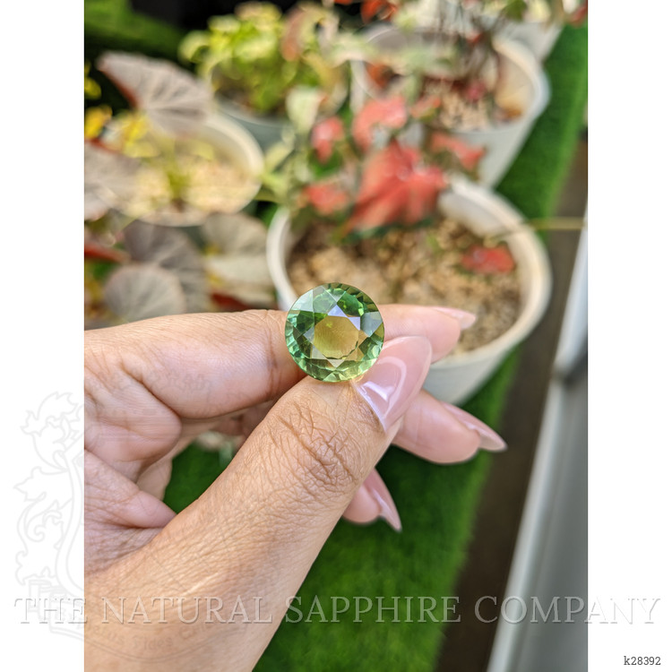 18.34 Ct. Yellowish Green Prasiolite from Brazil