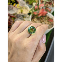 12.82 Ct. Green Prasiolite from Brazil Life Style