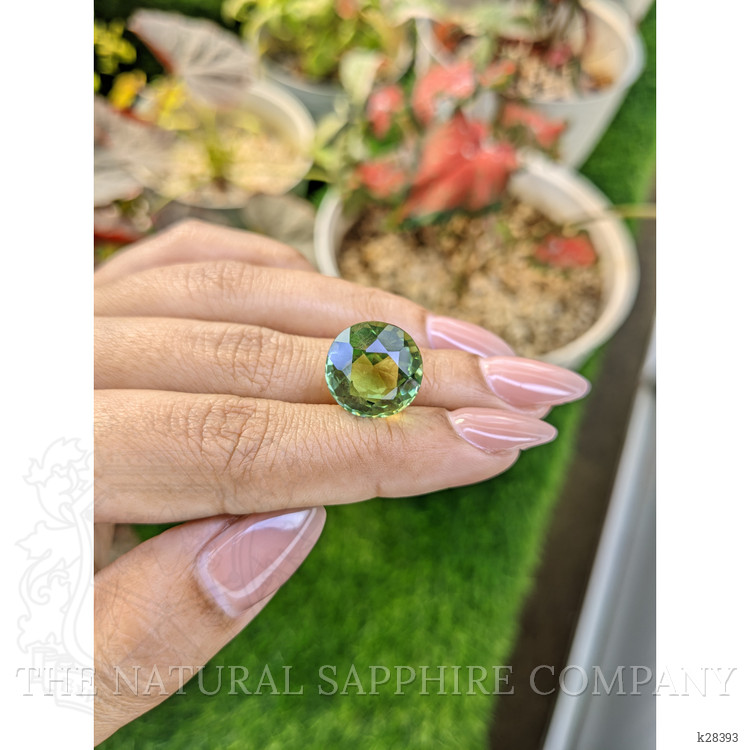 12.82 Ct. Green Prasiolite from Brazil