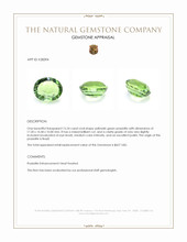 15.24 Ct. Yellowish Green Prasiolite from Brazil Appraisal