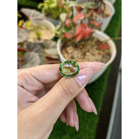 15.24 Ct. Yellowish Green Prasiolite from Brazil Life Style