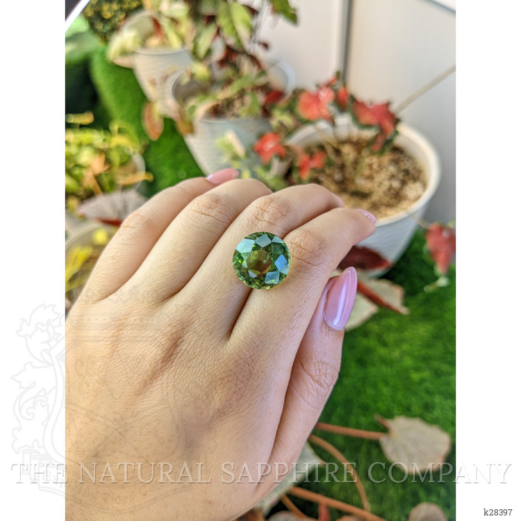 12.42 Ct. Green Prasiolite from Brazil