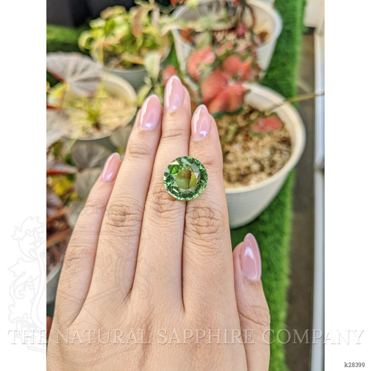 14.10 Ct. Green Prasiolite from Brazil