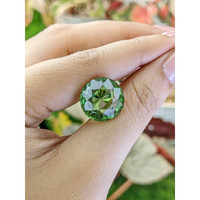 14.10 Ct. Green Prasiolite from Brazil Life Style