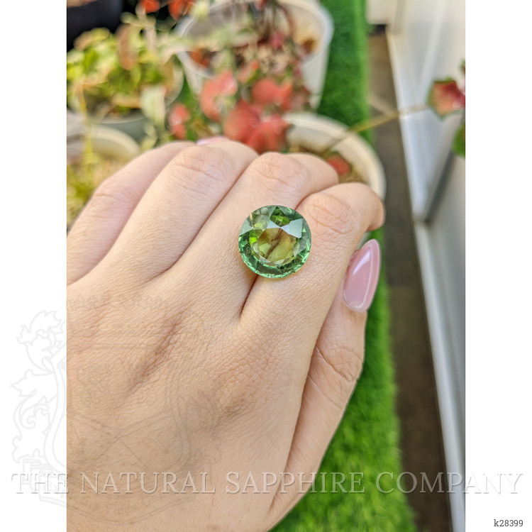 14.10 Ct. Green Prasiolite from Brazil