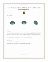 0.69 Ct. Cabochon Tourmaline from Brazil Appraisal