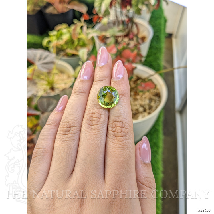 10.71 Ct. Yellowish Green Prasiolite from Brazil
