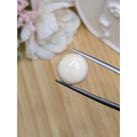 8.17 Ct. Salmon and White Cabochon Coral from Italy Life Style
