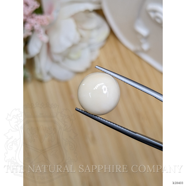 8.17 Ct. Salmon and White Cabochon Coral from Italy
