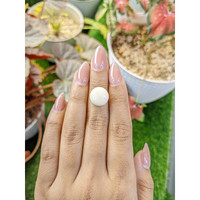 8.17 Ct. Salmon and White Cabochon Coral from Italy Life Style