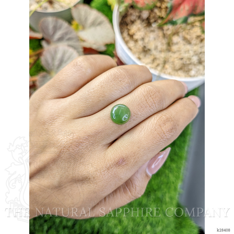 3.37 Ct. Green Cabochon Jade from Burma (Myanmar)