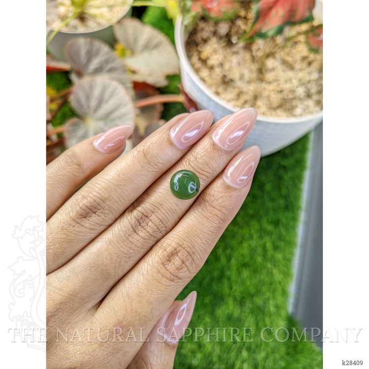 3.71 Ct. Green Cabochon Jade from Burma (Myanmar)