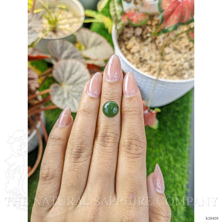 3.71 Ct. Green Cabochon Jade from Burma (Myanmar)