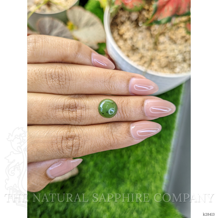 3.19 Ct. Green Cabochon Jade from Burma (Myanmar)