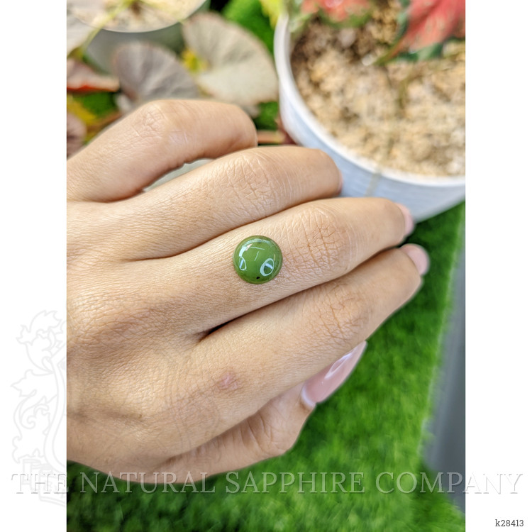 3.19 Ct. Green Cabochon Jade from Burma (Myanmar)