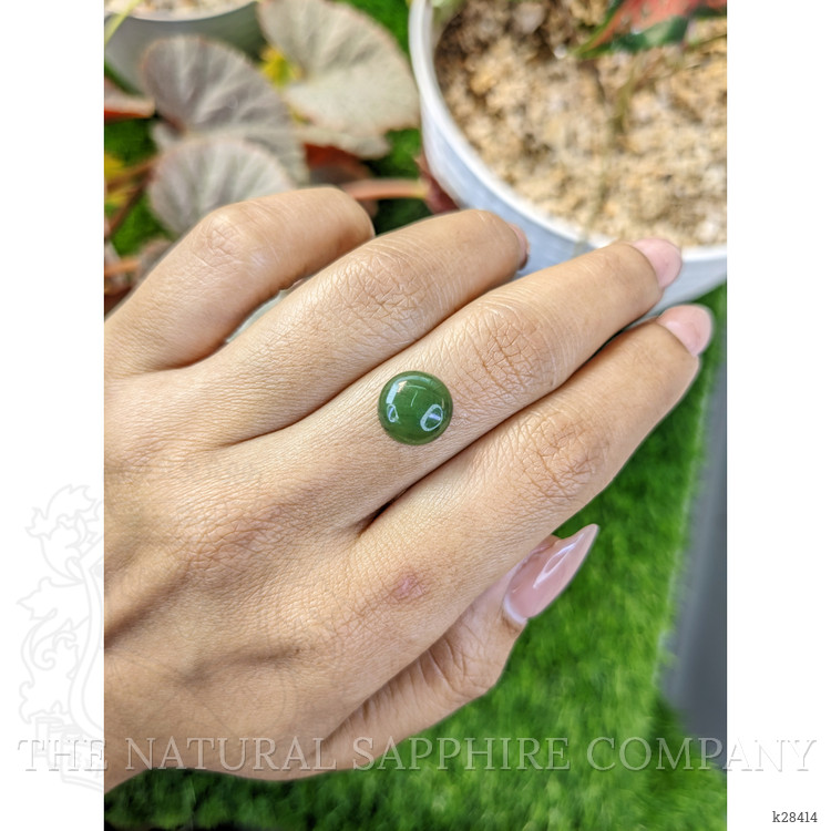 3.54 Ct. Green Cabochon Jade from Burma (Myanmar)