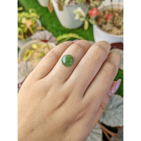 3.44 Ct. Green Cabochon Jade from Burma (Myanmar) Life Style
