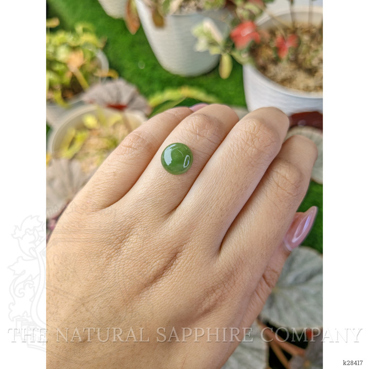 3.44 Ct. Green Cabochon Jade from Burma (Myanmar)
