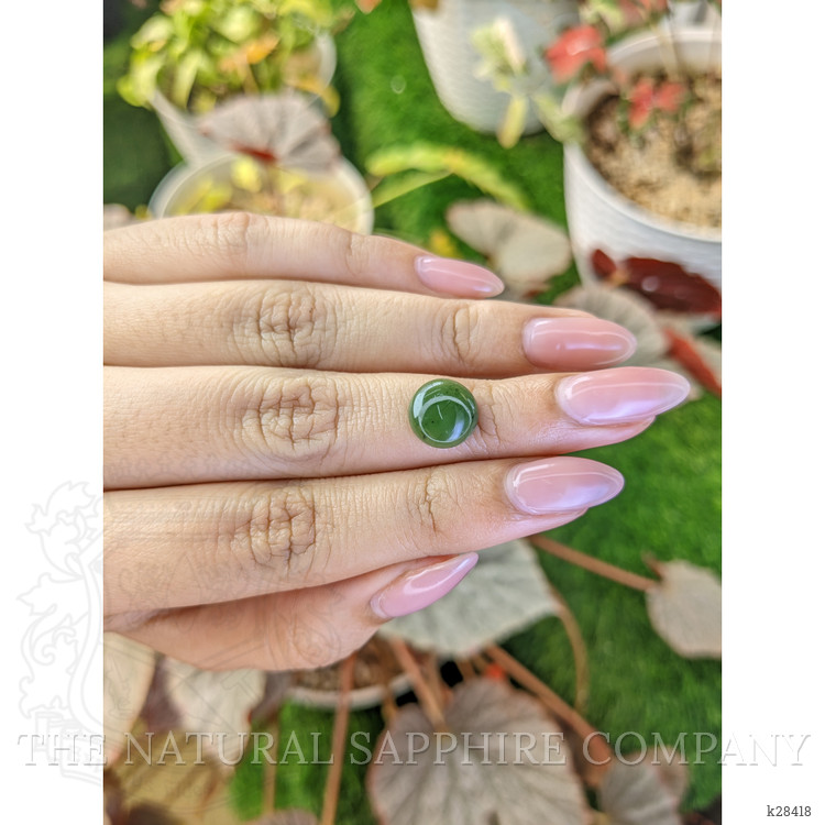 3.14 Ct. Green Cabochon Jade from Burma (Myanmar)