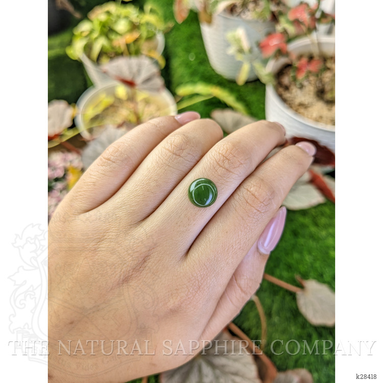3.14 Ct. Green Cabochon Jade from Burma (Myanmar)